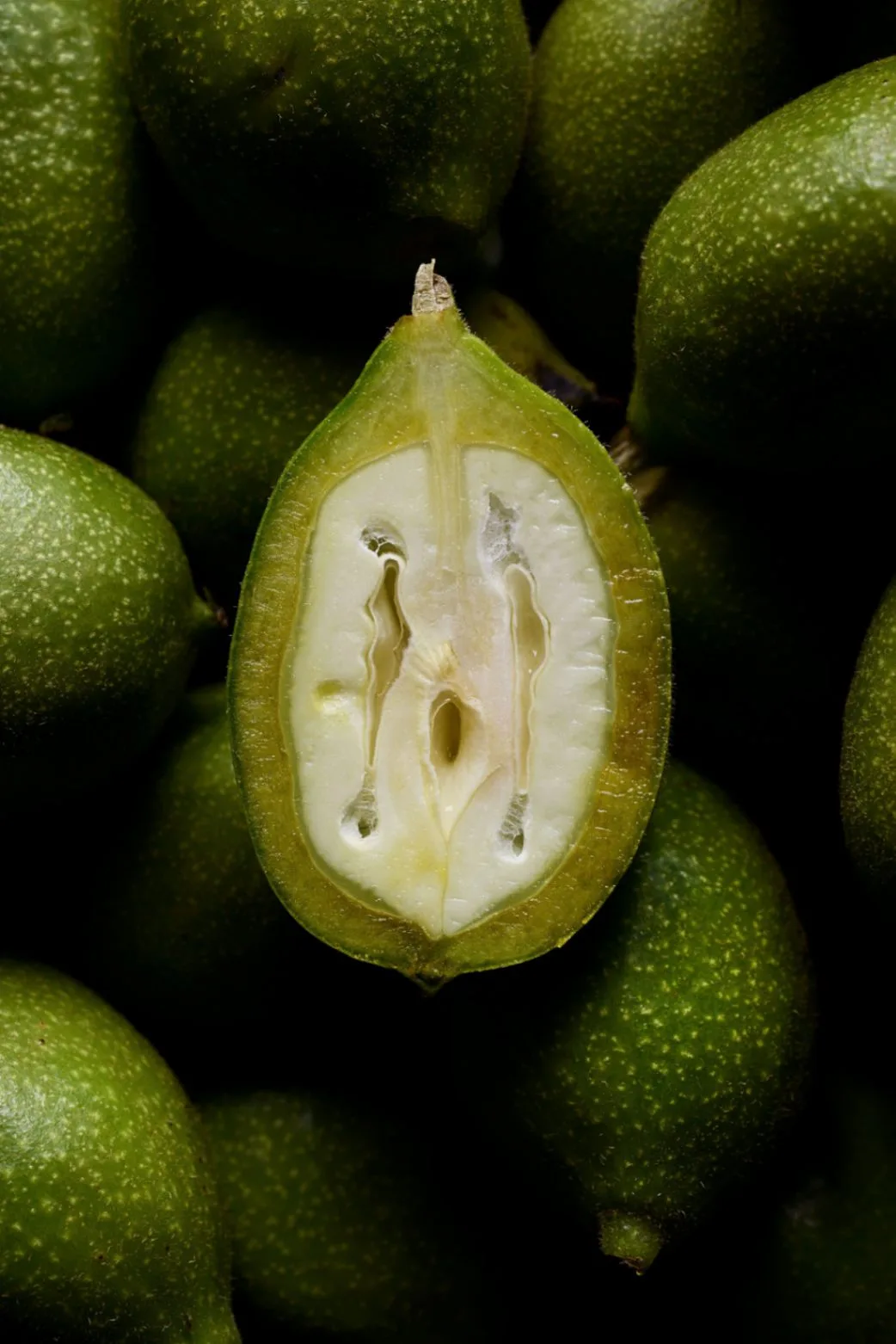 Le pouvoir antioxydant de la noix verte